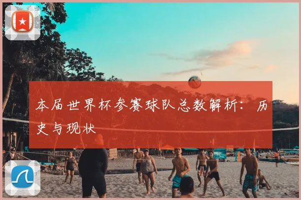 本届世界杯参赛球队总数解析:历史与现状