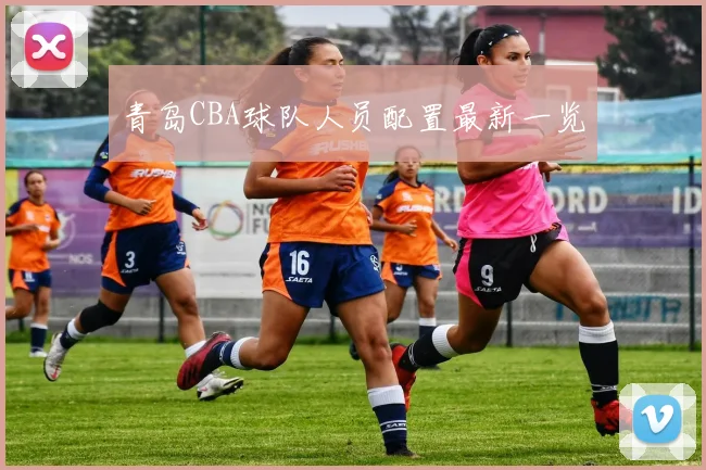 青岛CBA球队人员配置最新一览