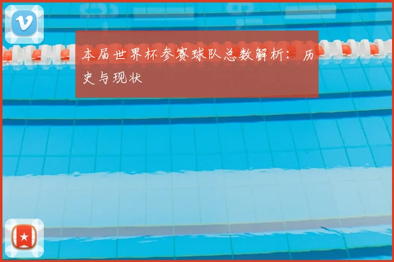 本届世界杯参赛球队总数解析：历史与现状